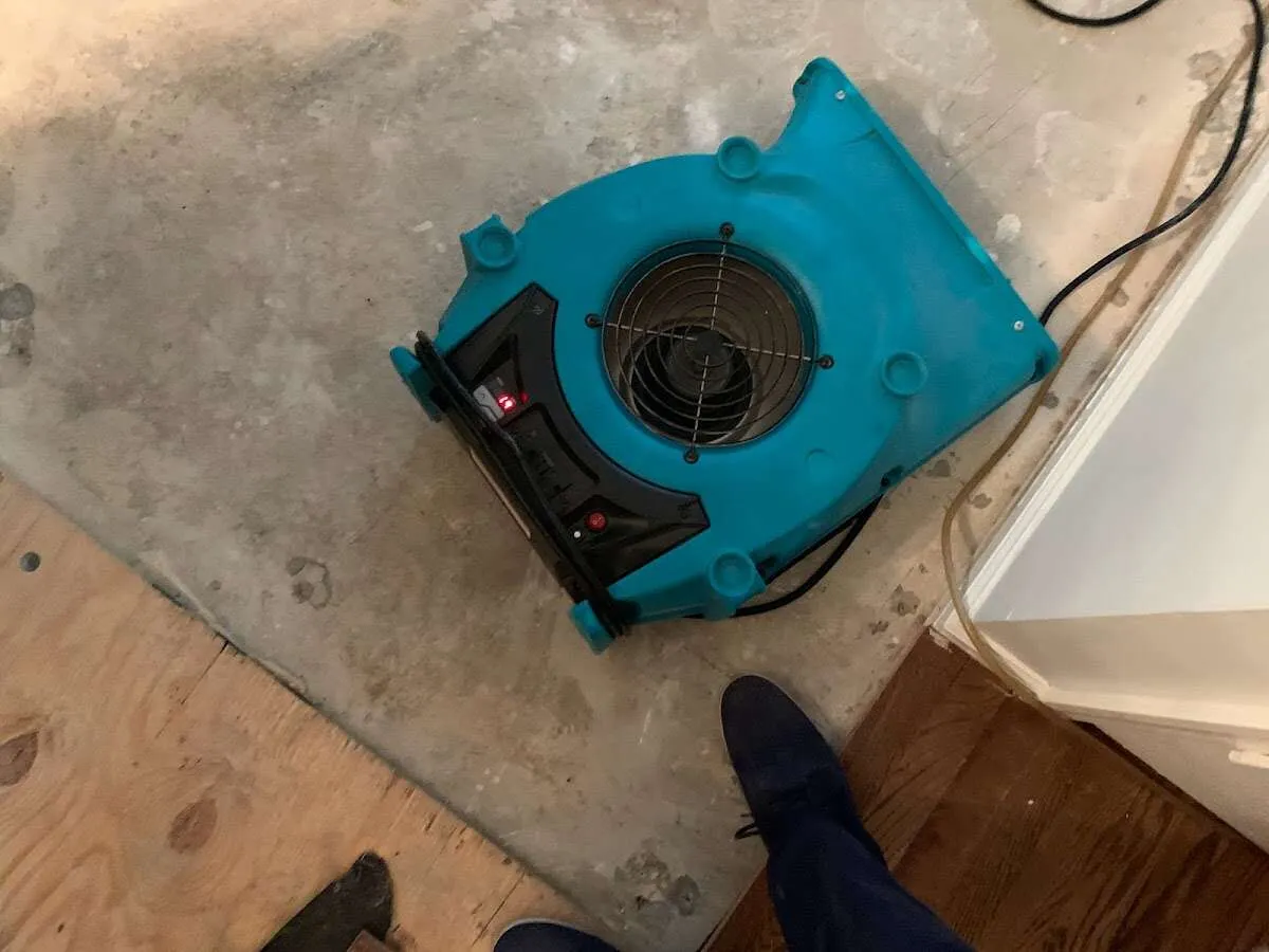 Air mover drying subfloor during Commercial Water Damage Restoration in Diamond Springs